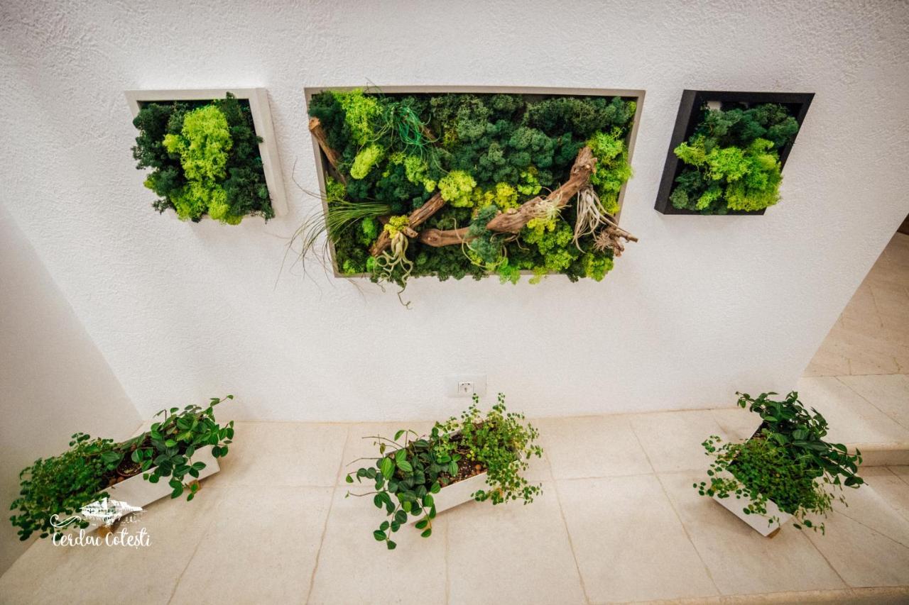 Cerdac Cotesti Golestii de Sus Exterior foto